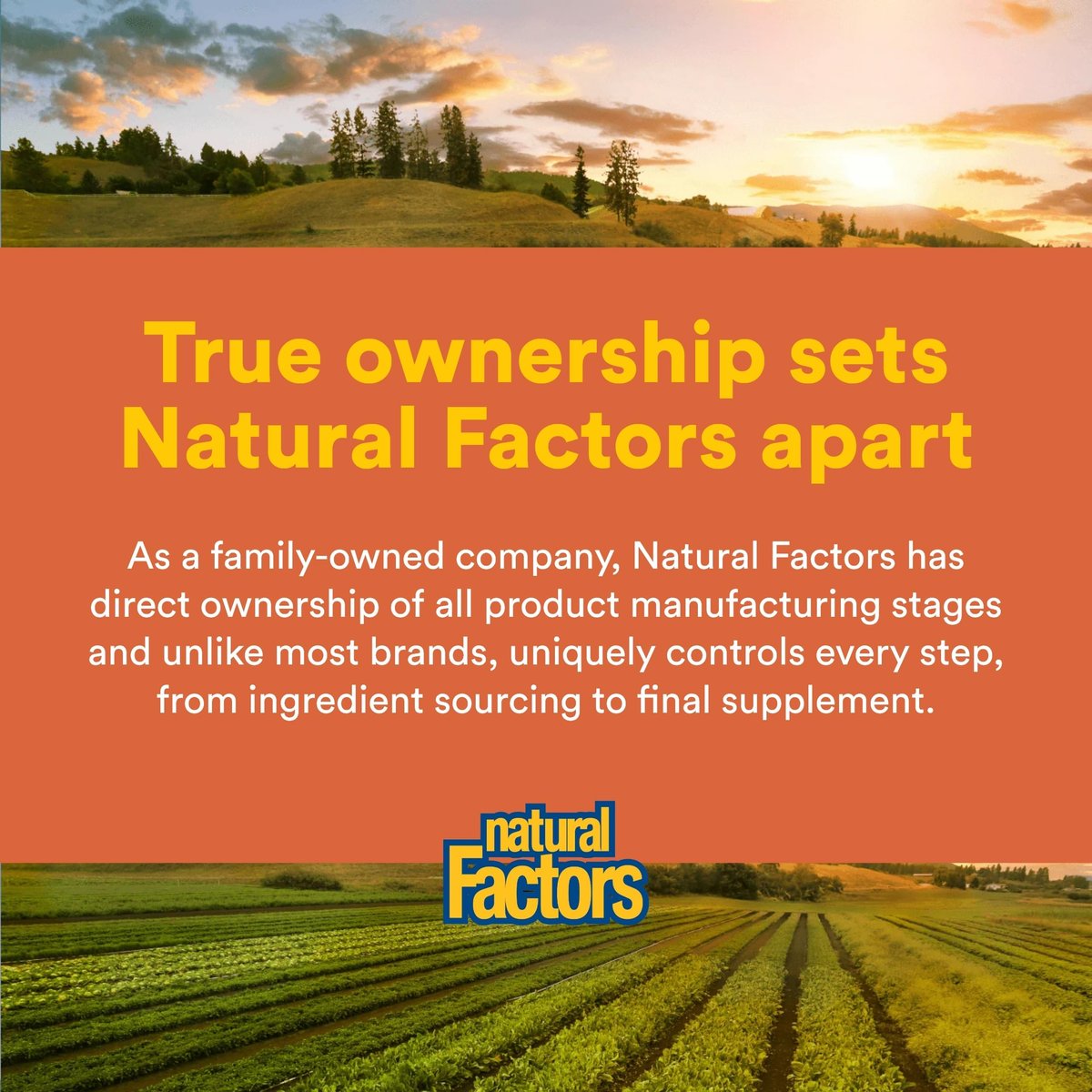 Natural Factors Kinder Kaubare Vitamin C 500 mg – Immunsystem, Knochen, Zähne & Zahnfleisch – Pfirsich, Passionsfrucht & Mango – 90 Waffeln