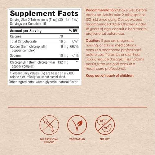 Nature's Way Chlorofresh Flüssigchlorophyll, Chlorophyllin-Kupfer-Komplex, inneres Deodorant, unterstützt gesunde Haut und Entgiftungswege*, Minzgeschmack, 16 fl oz