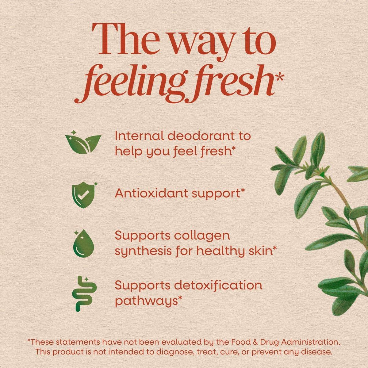 Nature's Way Chlorofresh Flüssigchlorophyll, Chlorophyllin-Kupfer-Komplex, inneres Deodorant, unterstützt gesunde Haut und Entgiftungswege*, Minzgeschmack, 16 fl oz