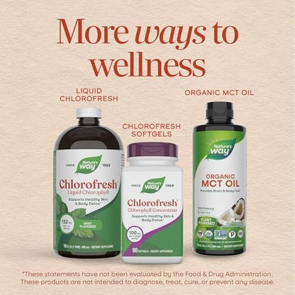 Nature's Way Chlorofresh Chlorophyll Gummies – Unterstützt gesunde Haut und Körperentgiftung, innerliches Deodorant, Obstgarten-Fruchtgeschmack, 60 Gummis