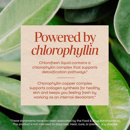 Nature's Way Chlorofresh Flüssigchlorophyll, Chlorophyllin-Kupfer-Komplex, inneres Deodorant, unterstützt gesunde Haut und Entgiftungswege*, Minzgeschmack, 16 fl oz