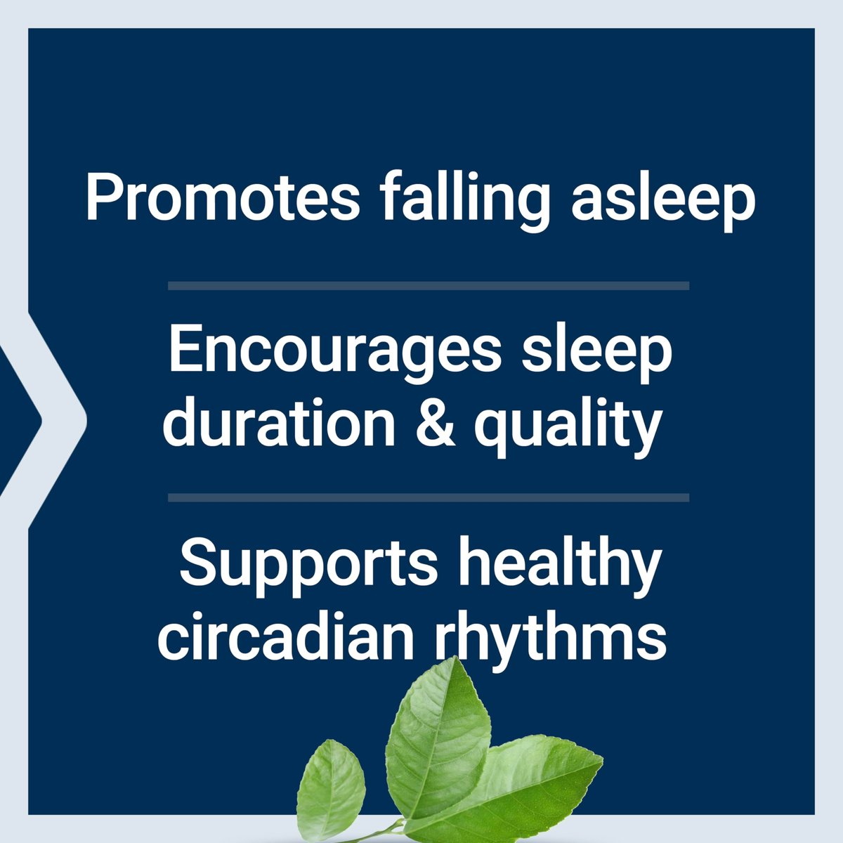 Life Extension Melatonin 3 mg – 60 Kapseln für optimalen Schlaf und gesunden circadianen Rhythmus, glutenfrei, nicht-GVO, vegetarisch