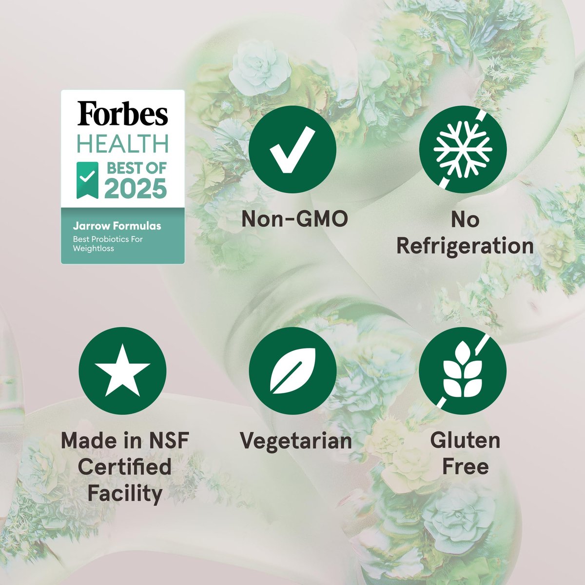 Jarrow Formulas Jarro Dophilus Probiotika 10 Milliarden KBE - Probiotikum für die Verdauungsgesundheit & Darmgesundheit für Frauen und Männer, 60 vegane Kapseln, bis zu 30 Tage, haltbar ohne Kühlung
