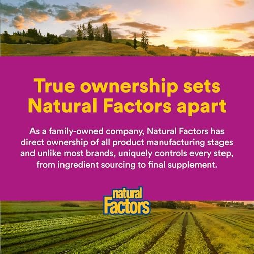 Natural Factors Vitamin B12 Methylcobalamin 1000 mcg – Kautabletten für Energie und Immunsystem, vegetarisch, glutenfrei, 90 Tabletten