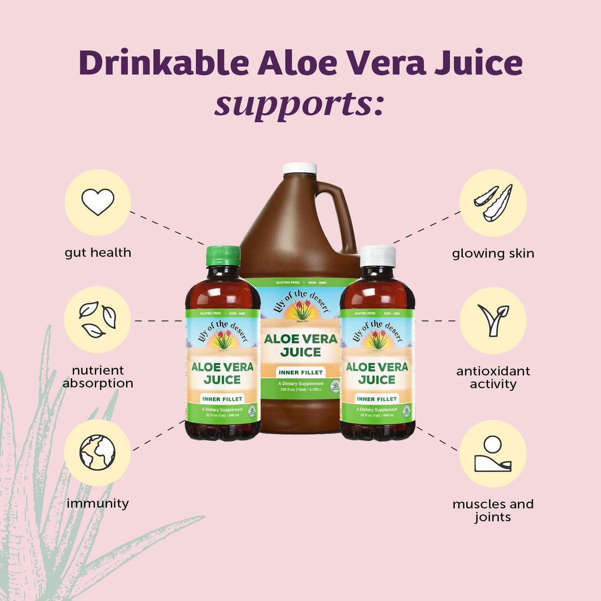 Lily Of The Desert Aloe Vera Saft – Inner Filet Bio Aloe Getränk mit natürlichen Vitaminen, Verdauungsenzymen für die Darmgesundheit, Magenberuhigung, Wohlbefinden, strahlende Haut, 946 ml