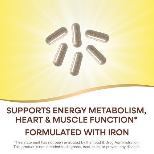 Nature's Way Alive! Max6 Potency Adult Complete Multivitamin mit Eisen, 90 Kapseln