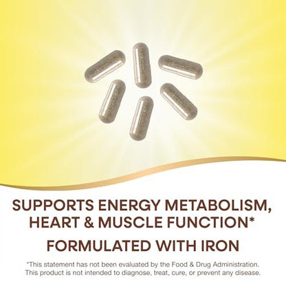 Nature's Way Alive! Max6 Potency Adult Complete Multivitamin mit Eisen, 90 Kapseln