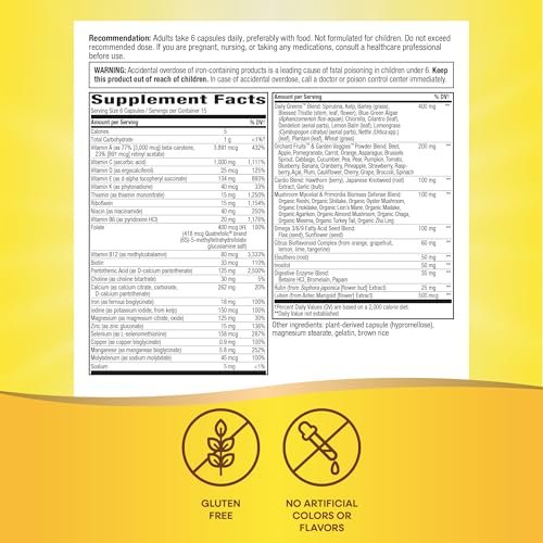 Nature's Way Alive! Max6 Potency Adult Complete Multivitamin mit Eisen, 90 Kapseln