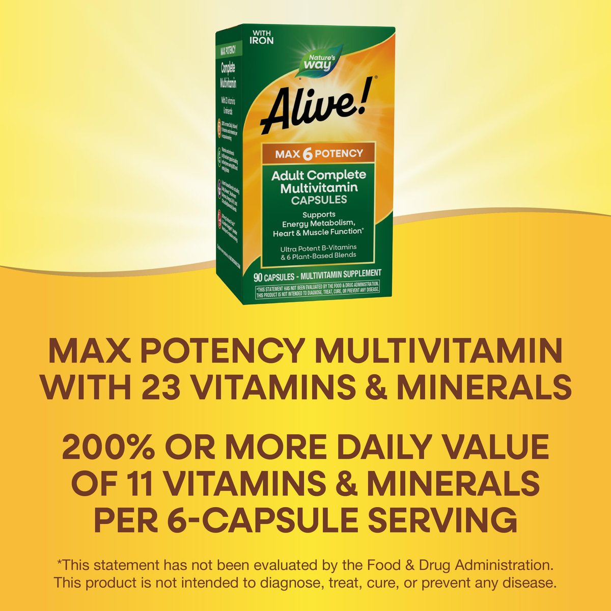 Nature's Way Alive! Max6 Potency Adult Complete Multivitamin mit Eisen, 90 Kapseln