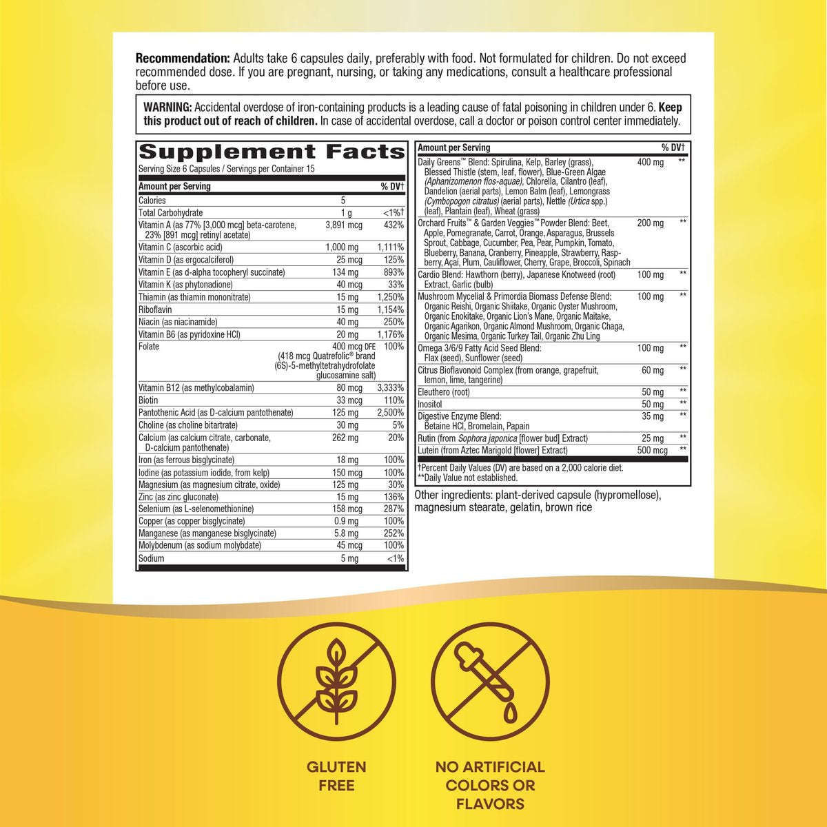Nature's Way Alive! Max6 Potency Adult Complete Multivitamin mit Eisen, 90 Kapseln