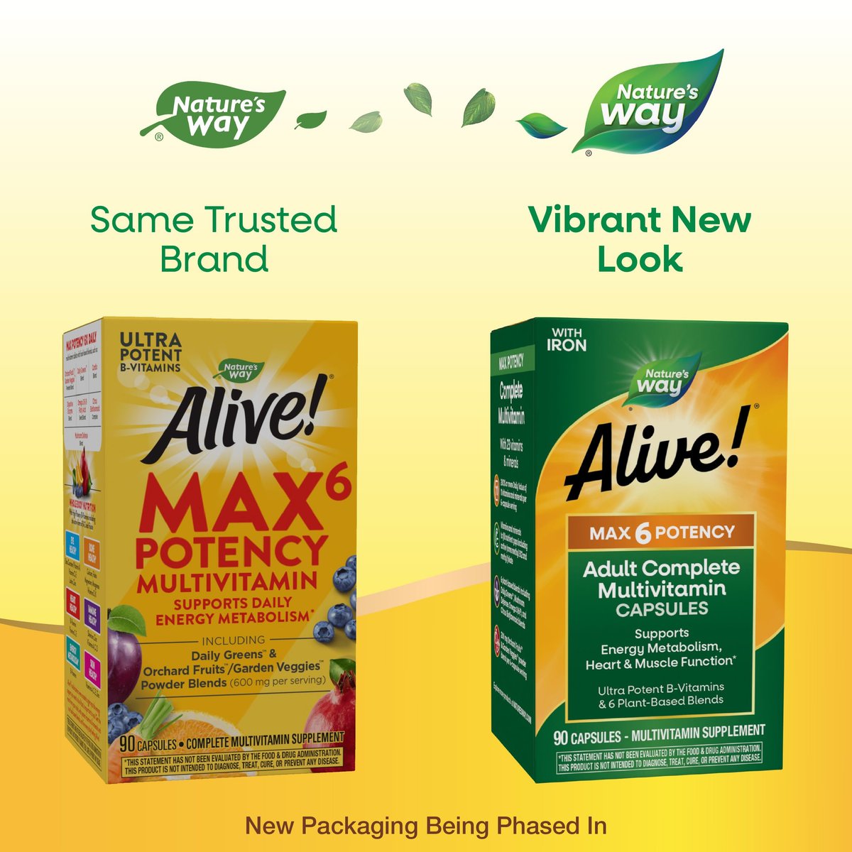Nature's Way Alive! Max6 Potency Adult Complete Multivitamin mit Eisen, 90 Kapseln
