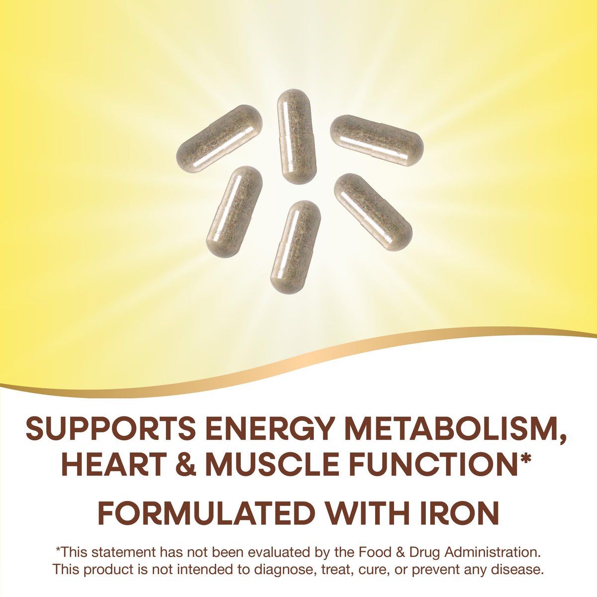 Nature's Way Alive! Max6 Potency Adult Complete Multivitamin mit Eisen, 90 Kapseln