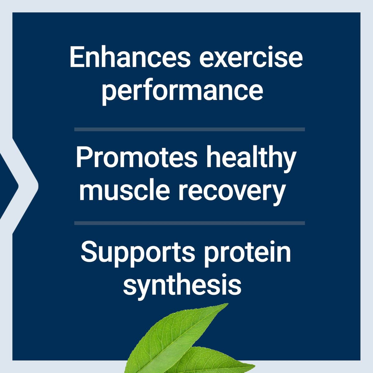 Life Extension Verzweigtkettige Aminosäuren (BCAAs) – Leucin, Isoleucin, Valin – Fördert die Muskelregeneration nach dem Training – Glutenfrei, Nicht-GVO – 90 Kapseln