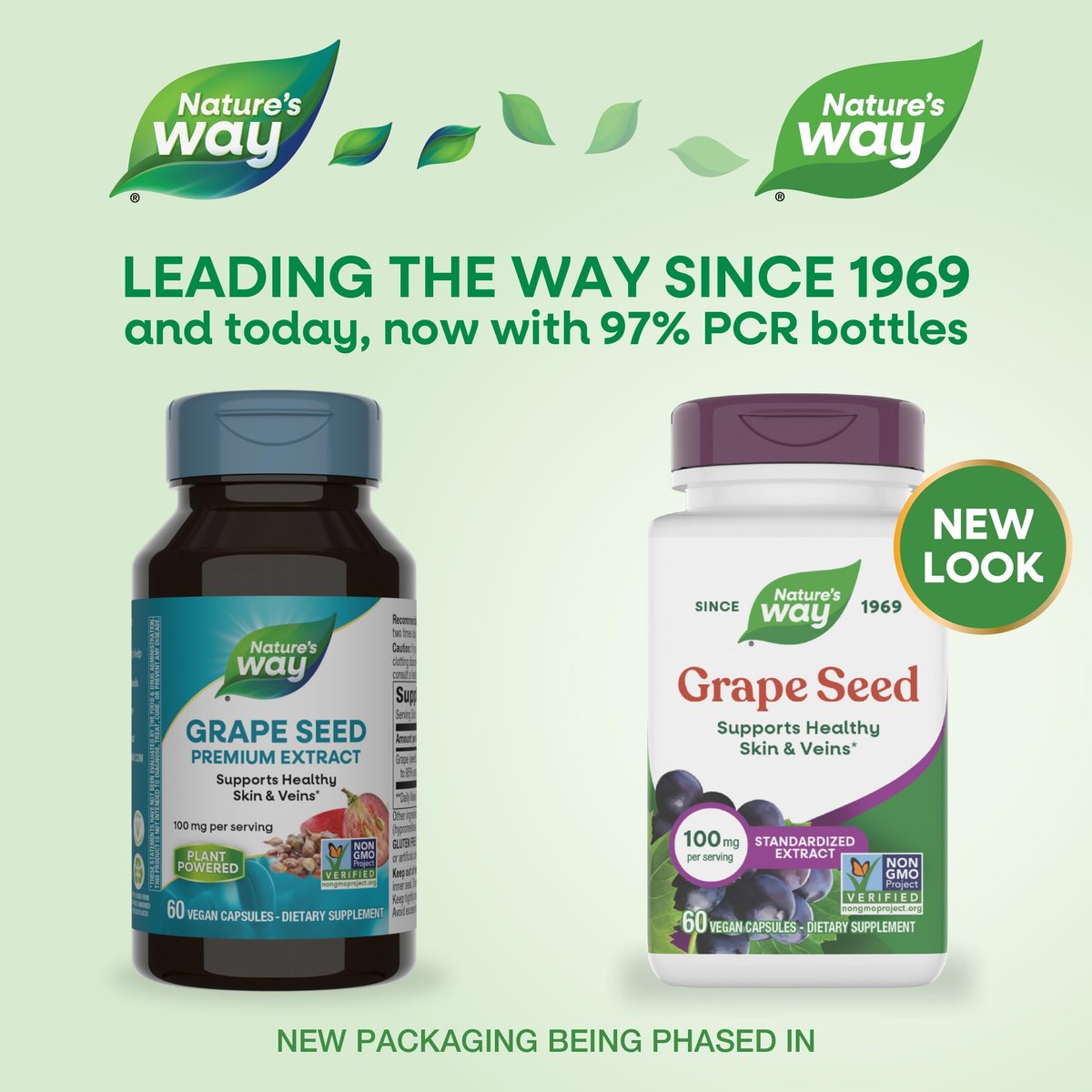 Nature's Way Traubenkernextrakt Standardisiert – Unterstützt gesunde Haut und Venen*, Antioxidantien* – Non-GMO Project Verified – 60 vegane Kapseln