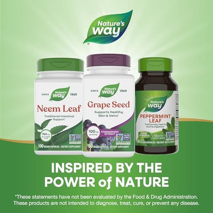 Nature's Way Traubenkernextrakt Standardisiert – Unterstützt gesunde Haut und Venen*, Antioxidantien* – Non-GMO Project Verified – 60 vegane Kapseln