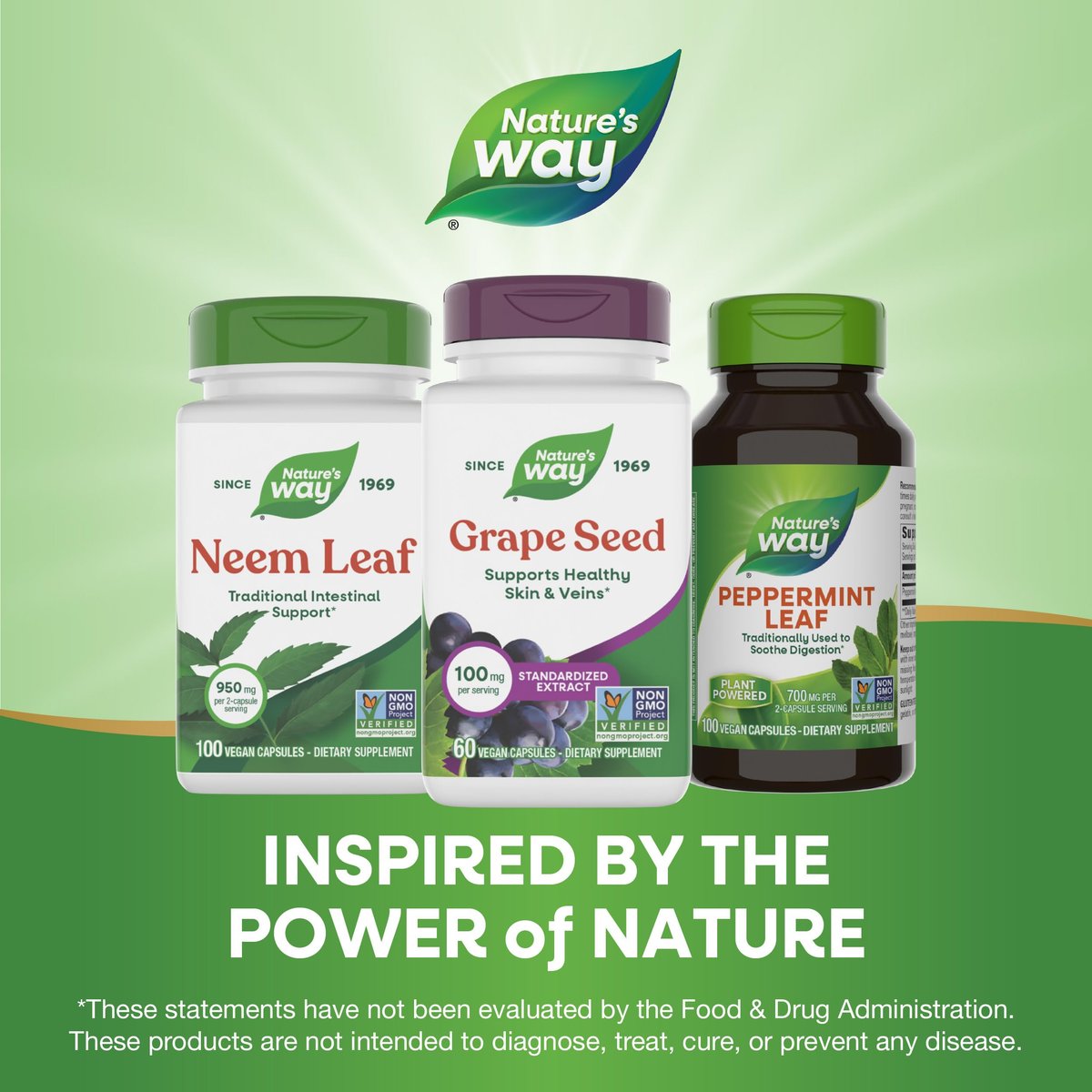 Nature's Way Traubenkernextrakt Standardisiert – Unterstützt gesunde Haut und Venen*, Antioxidantien* – Non-GMO Project Verified – 60 vegane Kapseln