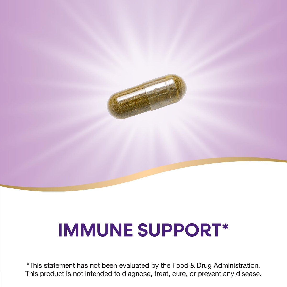 Nature's Way Premium Extrakt Andrographis, Immununterstützung*, 300 mg Andrographis-Extrakt pro Portion, 60 vegane Kapseln