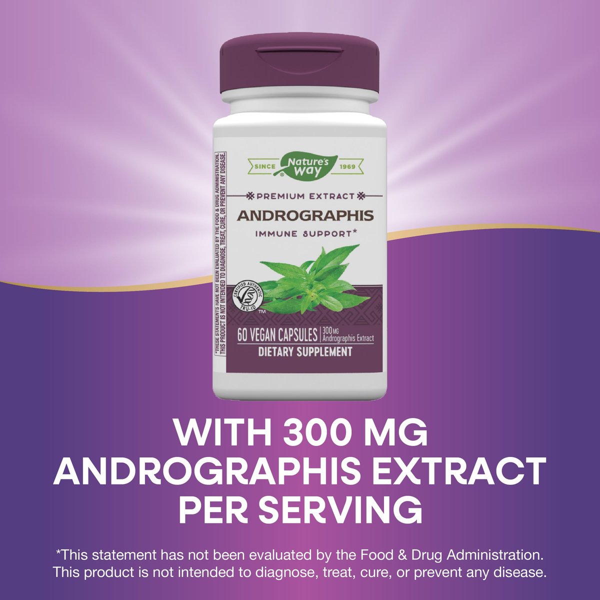 Nature's Way Premium Extrakt Andrographis, Immununterstützung*, 300 mg Andrographis-Extrakt pro Portion, 60 vegane Kapseln