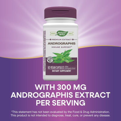 Nature's Way Premium Extrakt Andrographis, Immununterstützung*, 300 mg Andrographis-Extrakt pro Portion, 60 vegane Kapseln