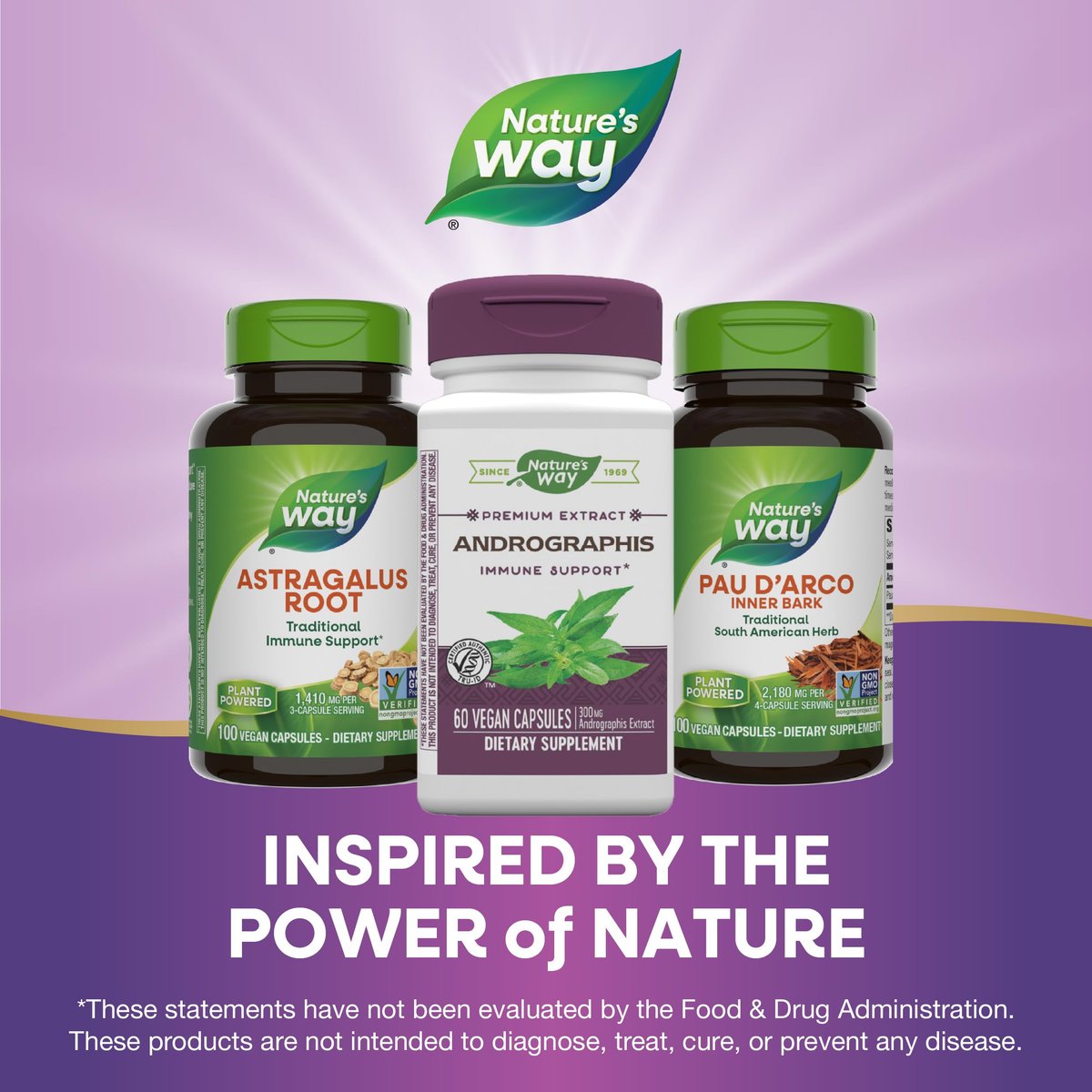 Nature's Way Premium Extrakt Andrographis, Immununterstützung*, 300 mg Andrographis-Extrakt pro Portion, 60 vegane Kapseln