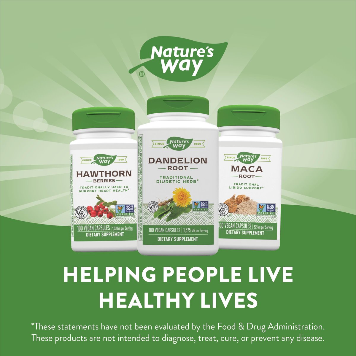 Nature's Way Löwenzahnwurzel, traditionelles Diuretikum*, traditionell zur Linderung von Verdauungsbeschwerden*, vegan, 180 Kapseln (Verpackung kann variieren)