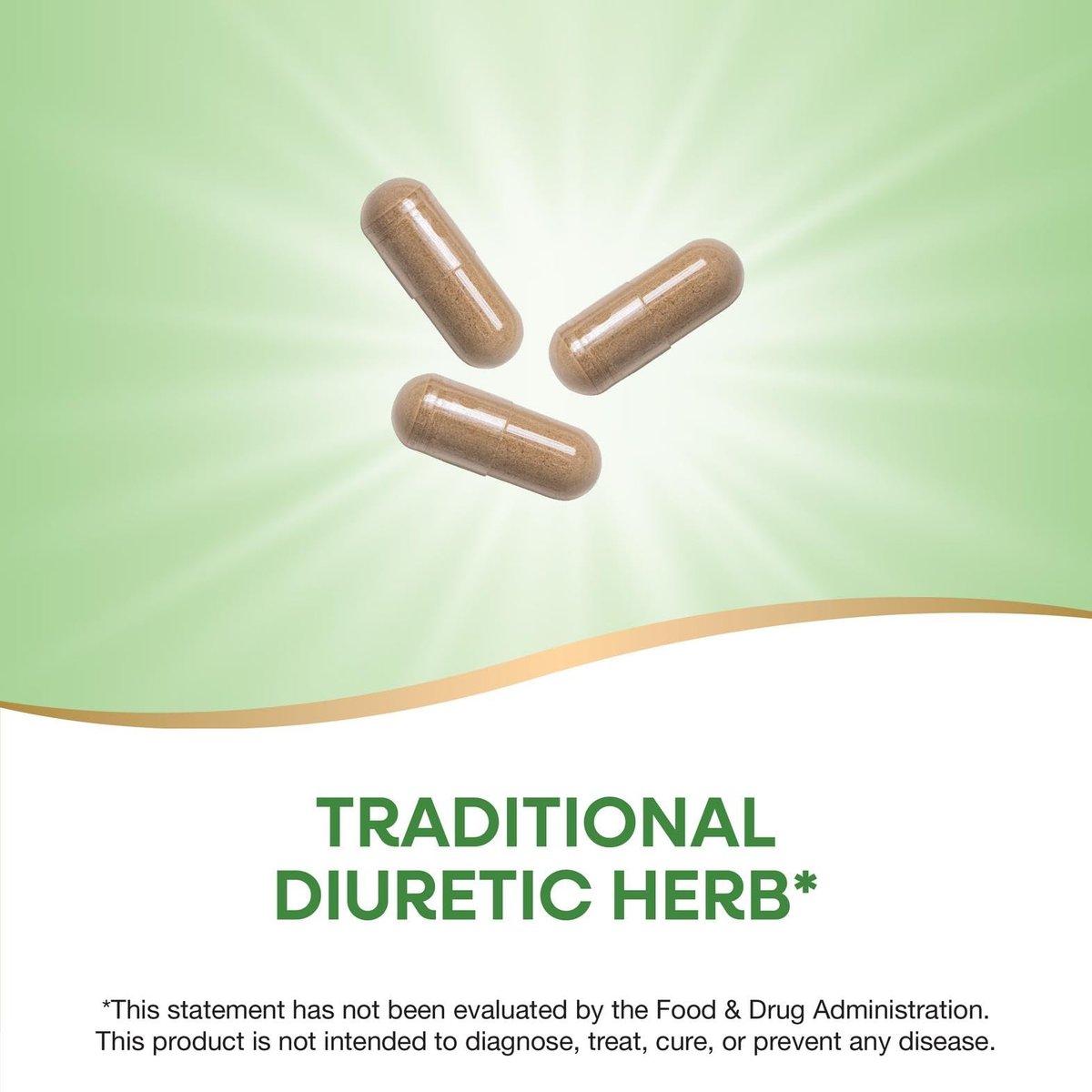 Nature's Way Löwenzahnwurzel, traditionelles Diuretikum*, traditionell zur Linderung von Verdauungsbeschwerden*, vegan, 180 Kapseln (Verpackung kann variieren)