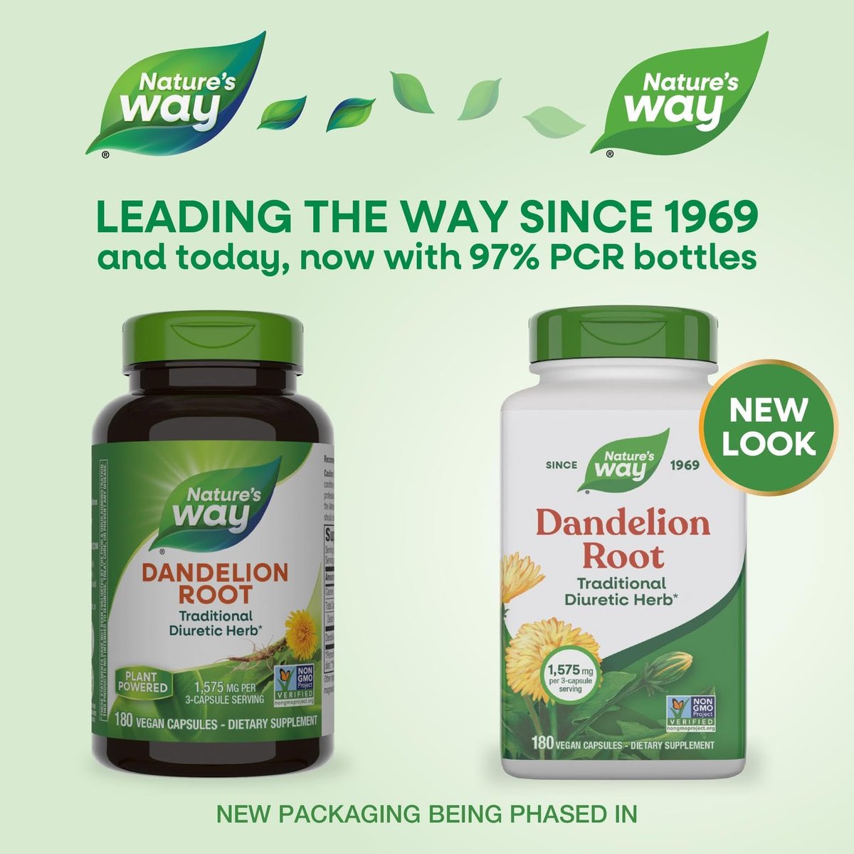Nature's Way Löwenzahnwurzel, traditionelles Diuretikum*, traditionell zur Linderung von Verdauungsbeschwerden*, vegan, 180 Kapseln (Verpackung kann variieren)