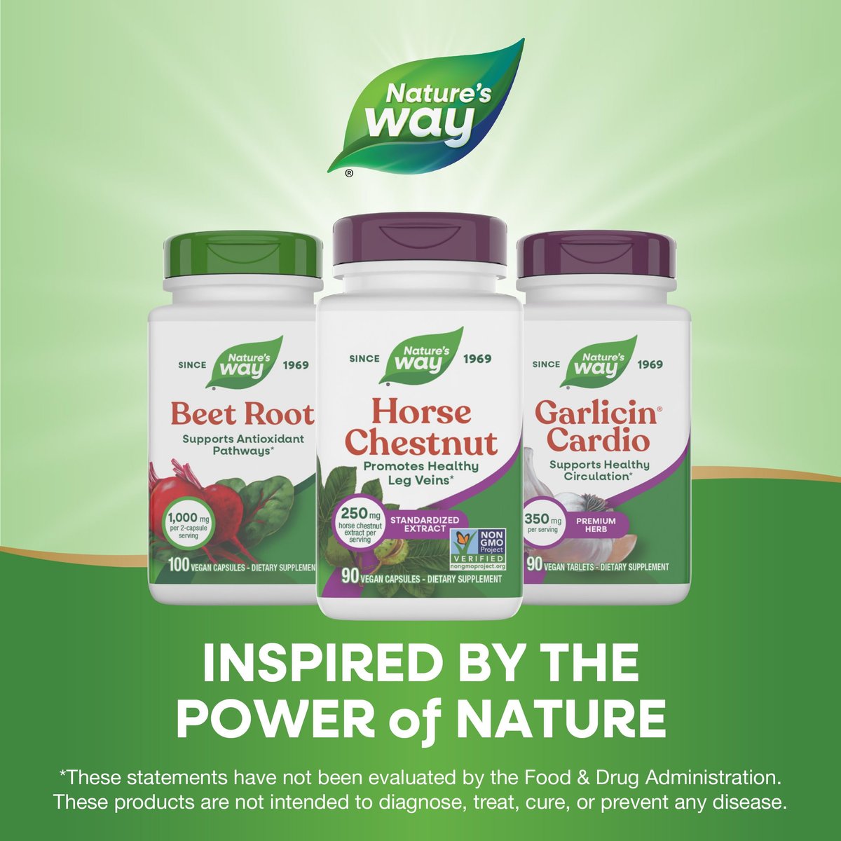 Nature's Way Rosskastanien-Extrakt, Premium-Extrakt, Fördert gesunde Beinvenen*, 250 mg pro Portion, Vegan, 90 Kapseln (Verpackung kann variieren)