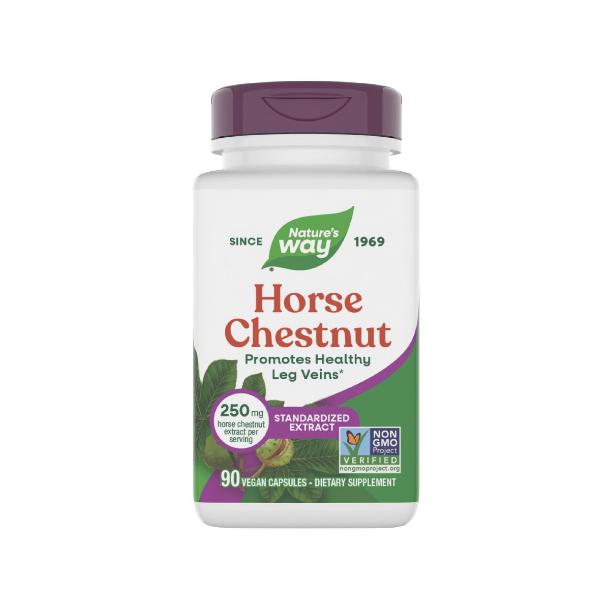 Nature's Way Rosskastanien-Extrakt, Premium-Extrakt, Fördert gesunde Beinvenen*, 250 mg pro Portion, Vegan, 90 Kapseln (Verpackung kann variieren)