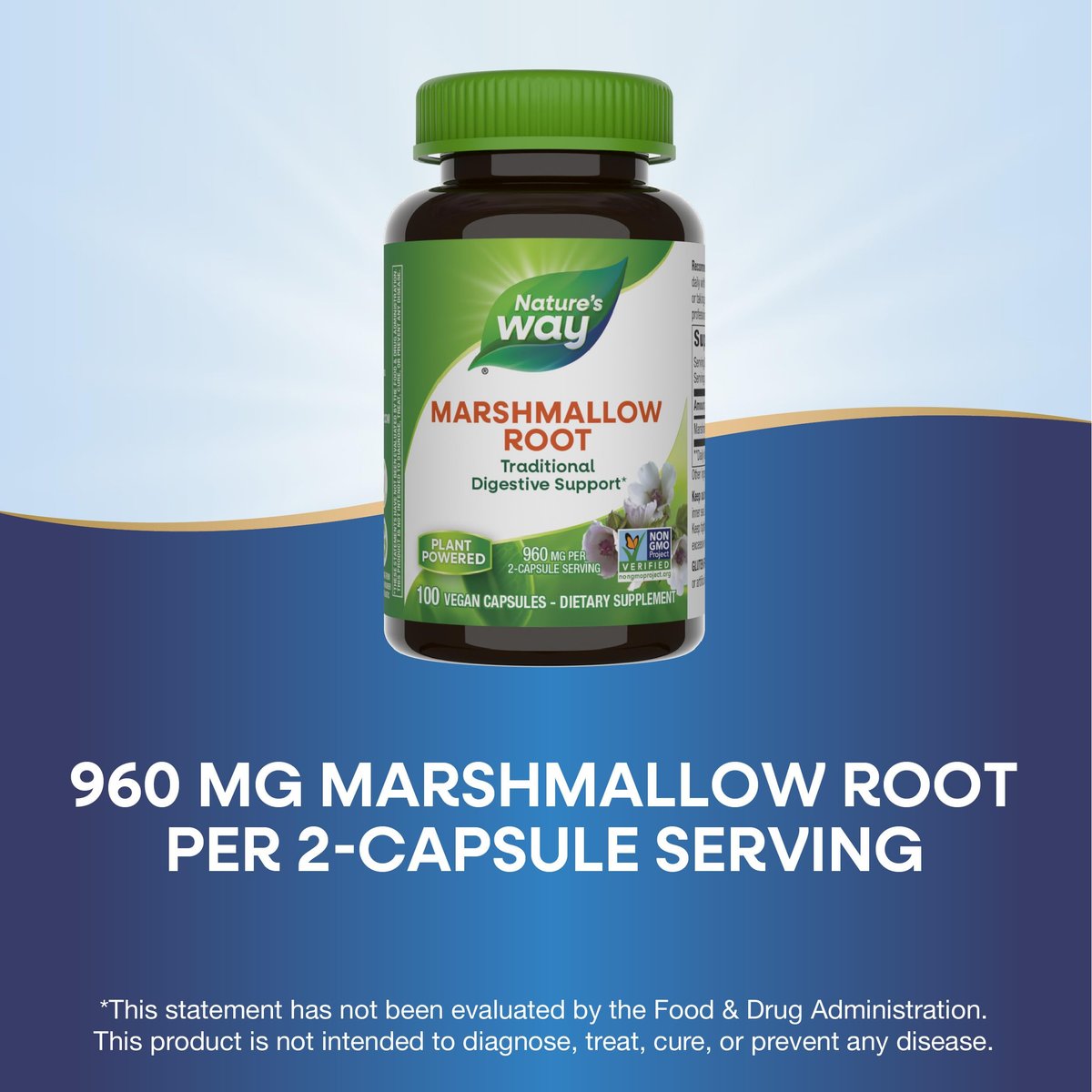 Nature's Way Premium Herbal Eibischwurzel, 960 mg pro Portion, 100 Kapseln