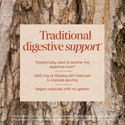Nature's Way Ulmenrinde Kapseln, traditionelle Verdauungsunterstützung zur Beruhigung des Magen-Darm-Trakts*, 1.600 mg pro 4-Kapsel-Portion, vegan, 100 Kapseln