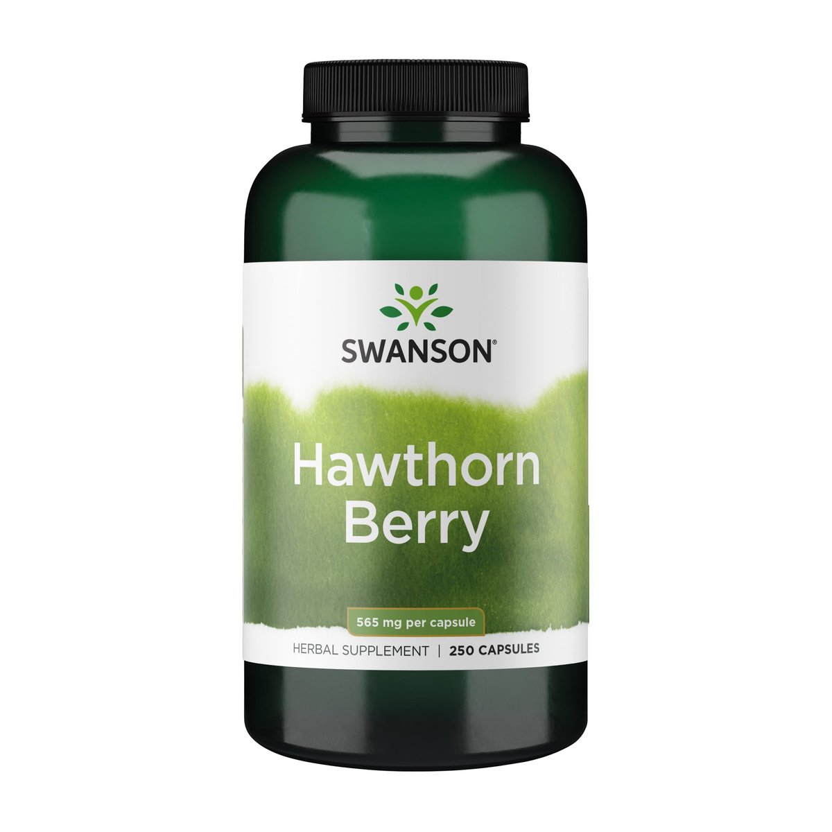Swanson Weißdornbeere Vollspektrum – 250 Kapseln, 565 mg – Herz-Kreislauf-Unterstützung mit antioxidativen Flavonoiden