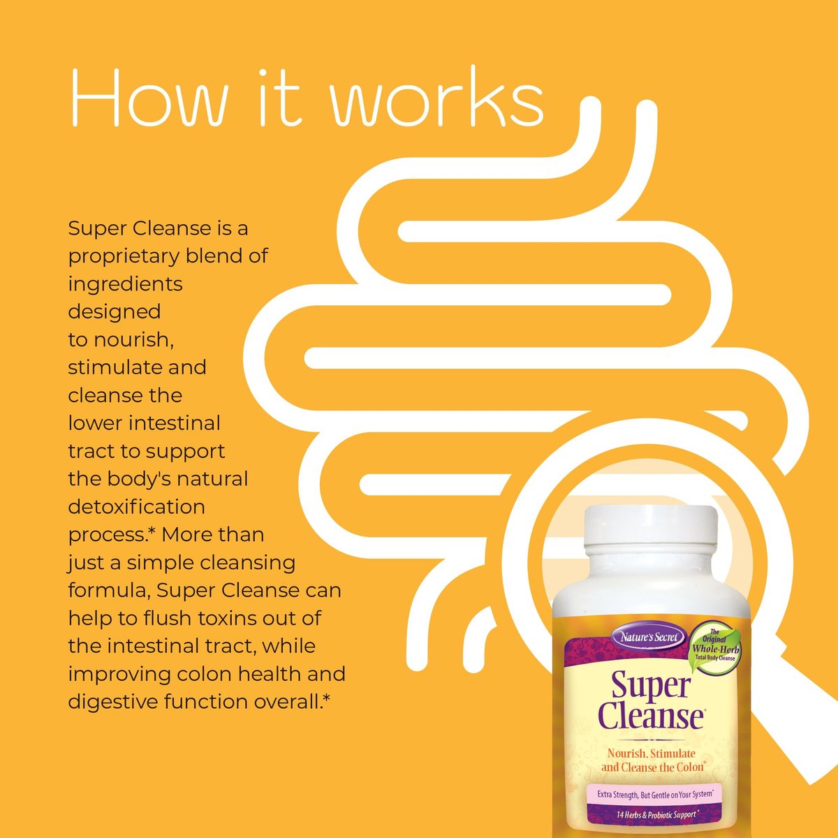 Nature’s Secret Super Cleanse – Extra Stärke Darmreinigung mit 14 Kräutern & Probiotika – Unterstützt Darmgesundheit, Entgiftung & Verdauung – Sanfte Ausscheidungsformel – 100 Tabletten (1 Packung)