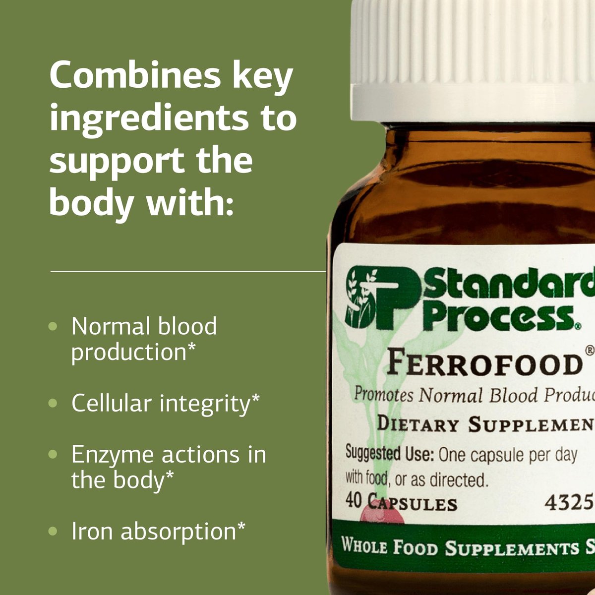 Standard Process Ferrofood – Eisenpräparat zur Unterstützung der normalen Blutbildung – Fördert die Eisenaufnahme mit Vitamin C – Nahrungsergänzungsmittel mit Alfalfa, Spanischem Moos, Vitamin B12 & mehr – 40 Kapseln