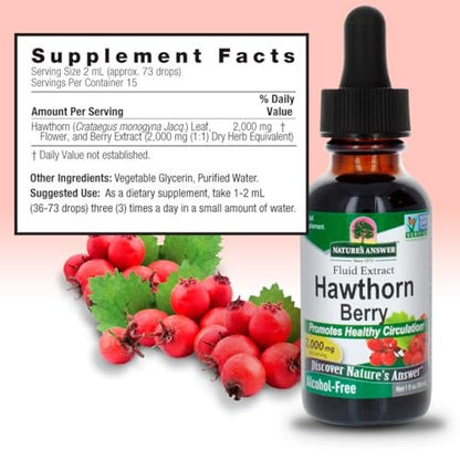 Nature's Answer Weißdornbeeren | Fördert gesunde Kreislauffunktion | Hilft, gesunde Cholesterinwerte zu erhalten | Glutenfrei, alkoholfrei, koscher zertifiziert & ohne Konservierungsstoffe 30 ml