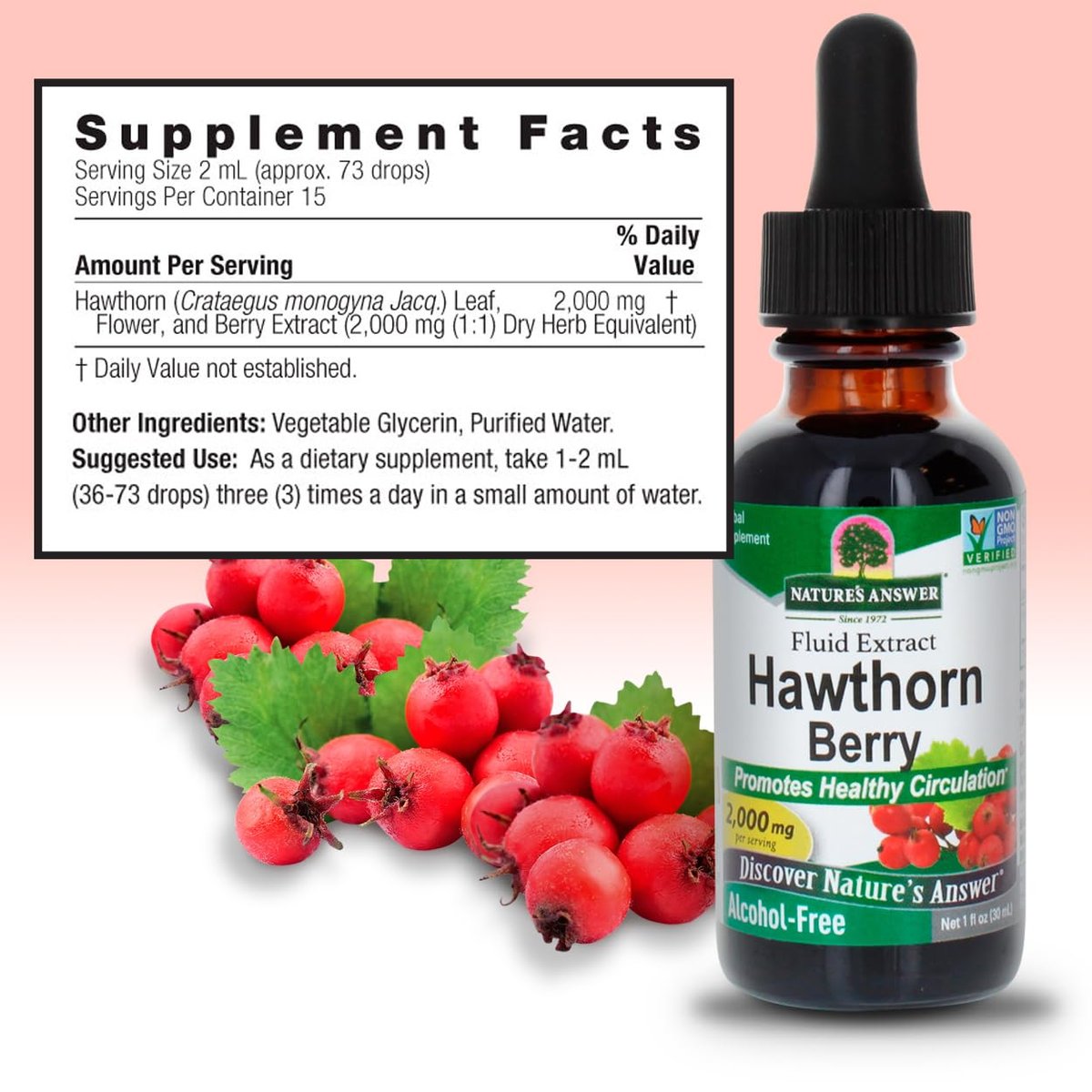 Nature's Answer Weißdornbeeren | Fördert gesunde Kreislauffunktion | Hilft, gesunde Cholesterinwerte zu erhalten | Glutenfrei, alkoholfrei, koscher zertifiziert & ohne Konservierungsstoffe 30 ml