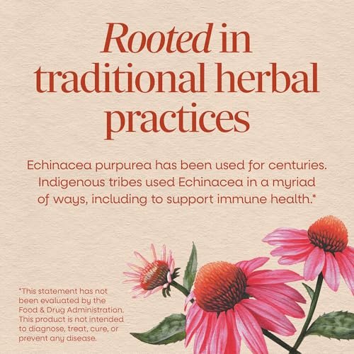 Nature's Way Echinacea Purpurea Kraut – Traditionelles pflanzliches Nahrungsergänzungsmittel zur Unterstützung des Immunsystems*, 180 Kapseln, 1200 mg pro 3-Kapsel-Portion, Non-GMO Project verifiziert