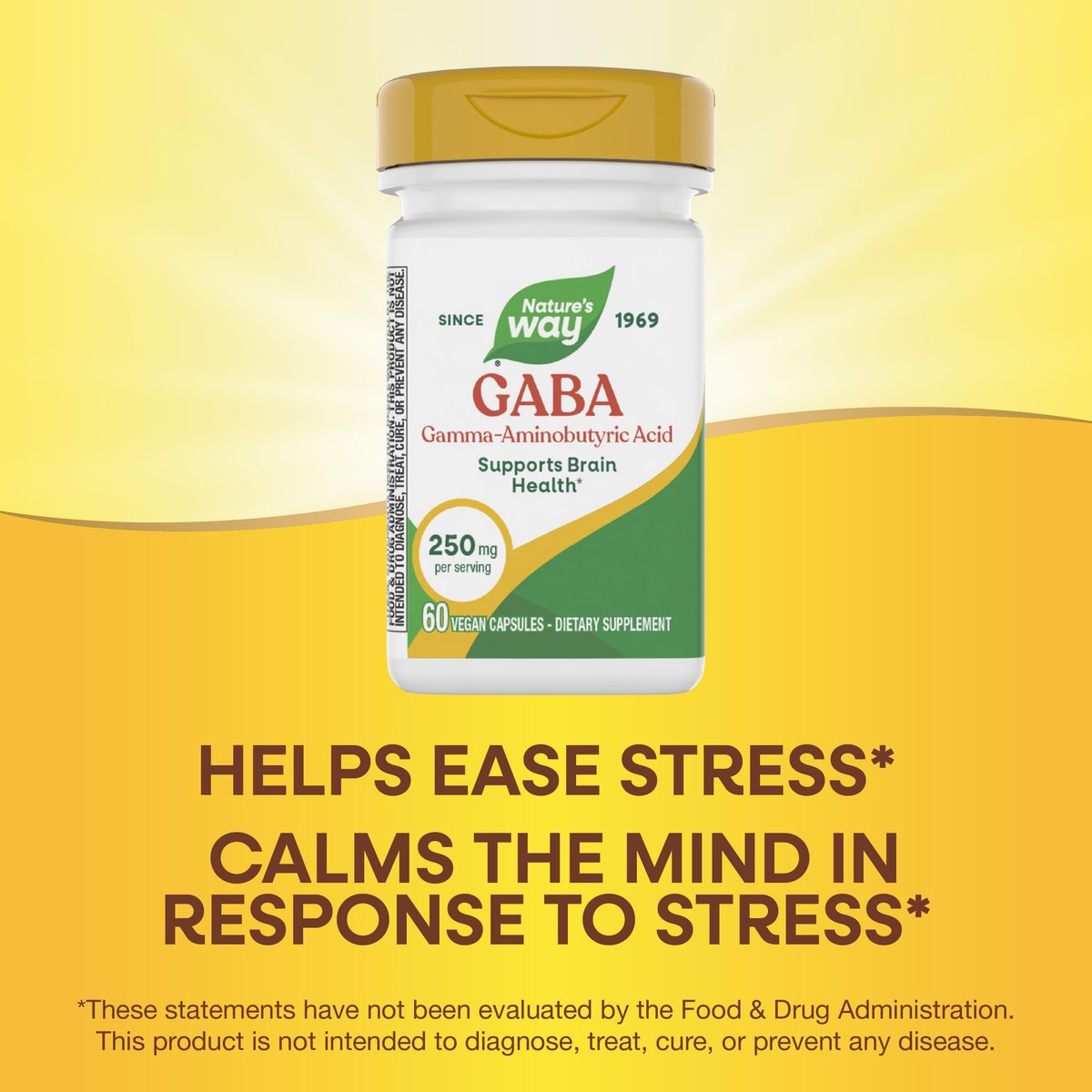 Nature's Way GABA, Gamma-Aminobuttersäure, Unterstützt die Gehirngesundheit*, 250 mg pro Portion, 60 vegane Kapseln (Verpackung kann variieren)