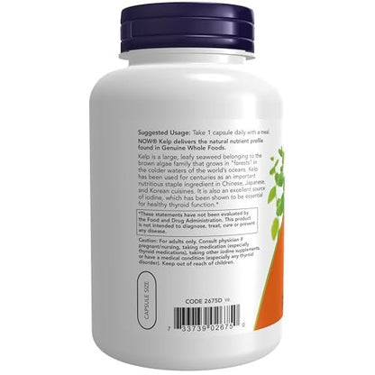 NOW Foods Kelp 325 µg natürliches Jod – 250 vegane Kapseln zur Unterstützung der Schilddrüsenfunktion