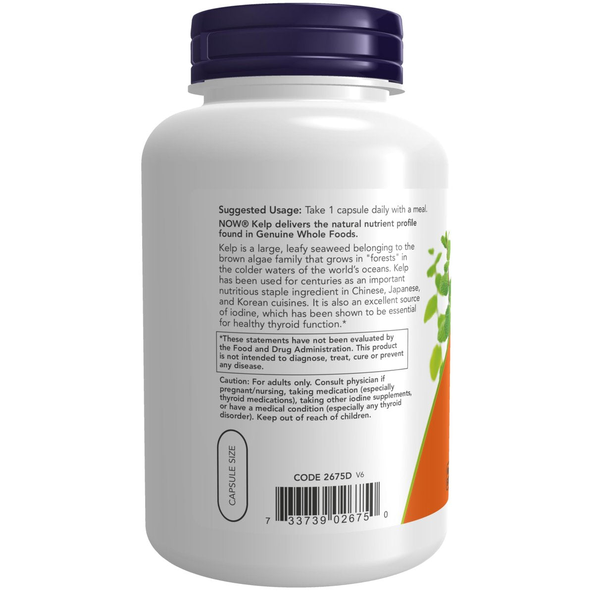 NOW Foods Kelp 325 µg natürliches Jod – 250 vegane Kapseln zur Unterstützung der Schilddrüsenfunktion