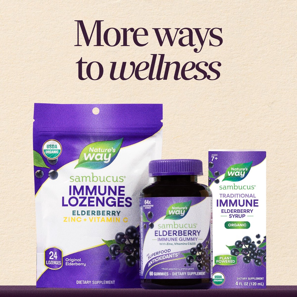 Nature's Way Sambucus Holunder Immunsyrup, Hochkonzentrierter Schwarzer Holunderextrakt, Traditionelle Immununterstützung, Leckerer Beerengeschmack, 237 ml
