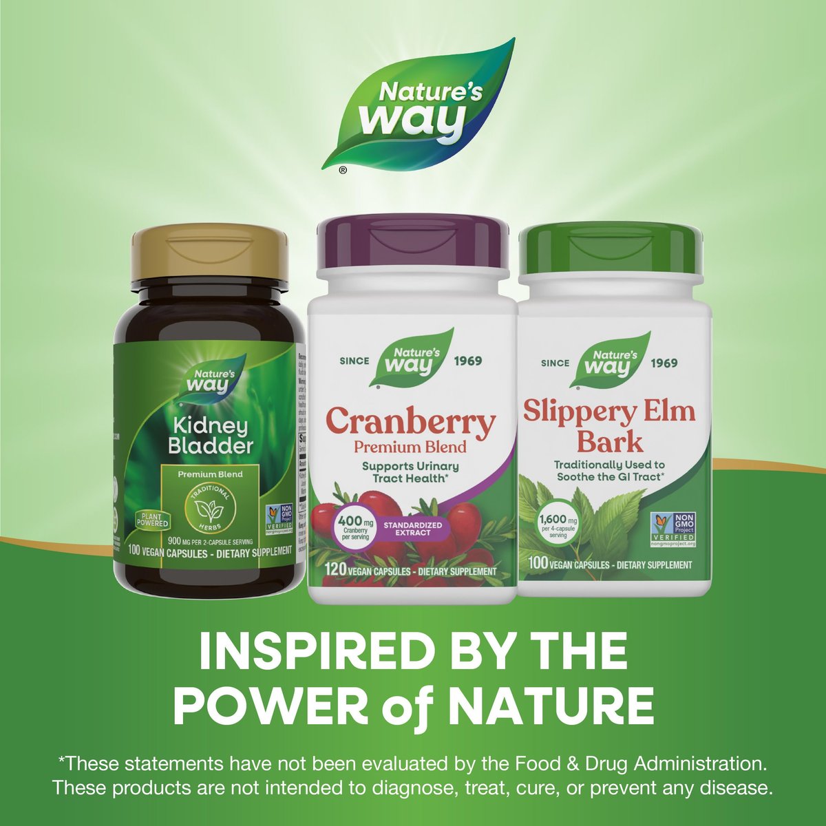 Nature's Way Premium Cranberry 400 mg – 120 Kapseln für die Gesundheit der Harnwege*