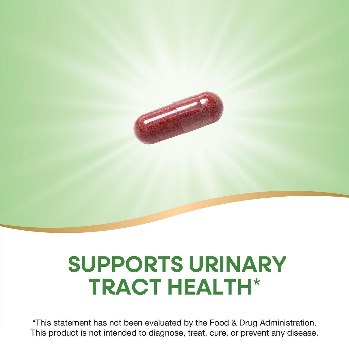 Nature's Way Premium Cranberry 400 mg – 120 Kapseln für die Gesundheit der Harnwege*