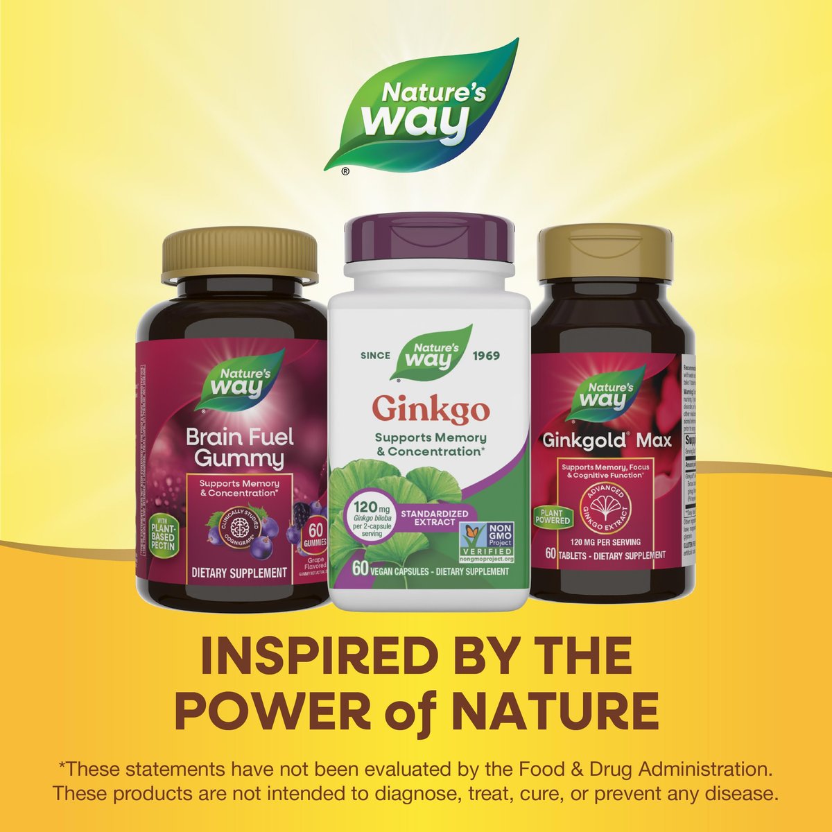 Nature's Way Ginkgo Premium Extract – Unterstützt Gedächtnis & Konzentration*, 120 mg Ginkgo Biloba Extrakt pro 2-Kapsel-Portion, mit Gotu Kola, vegan, glutenfrei, 60 Kapseln