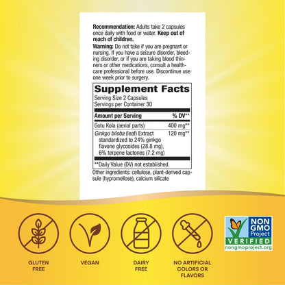 Nature's Way Ginkgo Premium Extract – Unterstützt Gedächtnis & Konzentration*, 120 mg Ginkgo Biloba Extrakt pro 2-Kapsel-Portion, mit Gotu Kola, vegan, glutenfrei, 60 Kapseln