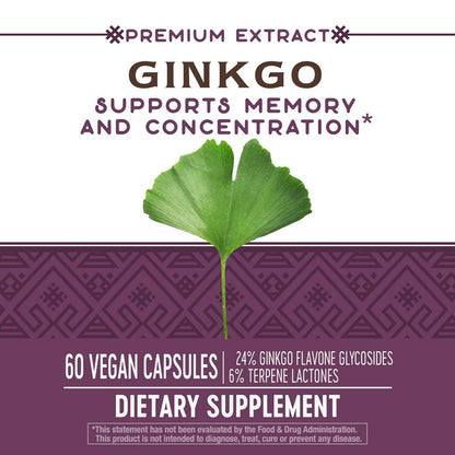 Nature's Way Ginkgo Premium Extract – Unterstützt Gedächtnis & Konzentration*, 120 mg Ginkgo Biloba Extrakt pro 2-Kapsel-Portion, mit Gotu Kola, vegan, glutenfrei, 60 Kapseln