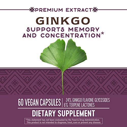 Nature's Way Ginkgo Premium Extract – Unterstützt Gedächtnis & Konzentration*, 120 mg Ginkgo Biloba Extrakt pro 2-Kapsel-Portion, mit Gotu Kola, vegan, glutenfrei, 60 Kapseln