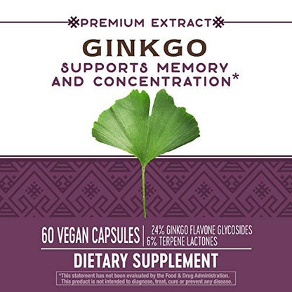 Nature's Way Ginkgo Premium Extract – Unterstützt Gedächtnis & Konzentration*, 120 mg Ginkgo Biloba Extrakt pro 2-Kapsel-Portion, mit Gotu Kola, vegan, glutenfrei, 60 Kapseln