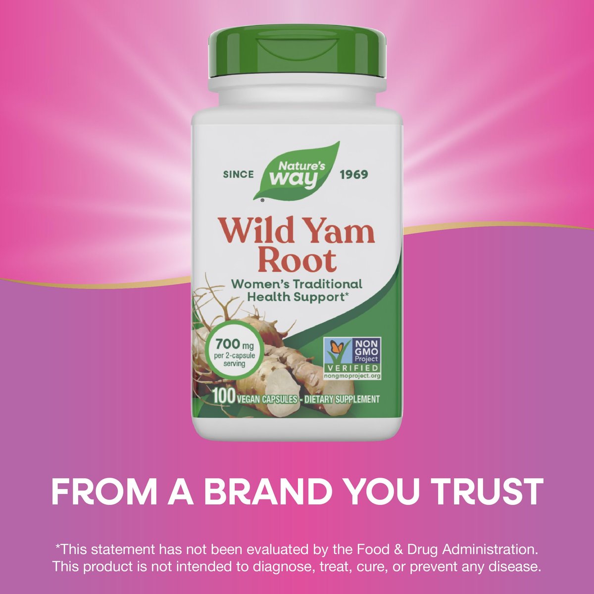 Nature's Way Wilde Yam Wurzel Kapseln, Unterstützung für die traditionelle Frauengesundheit*, 700 mg pro 2-Kapsel-Portion, Non-GMO Project Verified, 100 vegane Kapseln (Verpackung kann variieren)