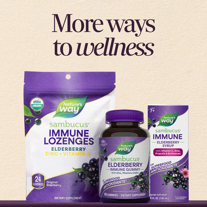 Nature's Way Sambucus Holunderbeeren-Sirup mit Vitamin C, Zink, Echinacea und Propolis – Immununterstützung, 240 ml (8 Fl Oz)
